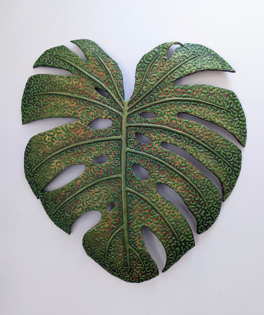 Monstera Deliciosa Two