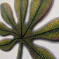 Undergrowth - SOLD-